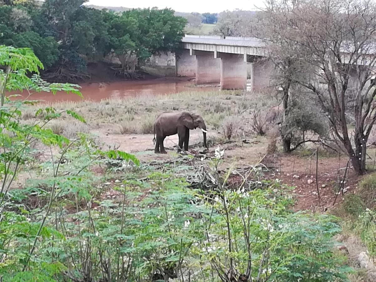 Three Bridges B&B Hoedspruit Εξωτερικό φωτογραφία